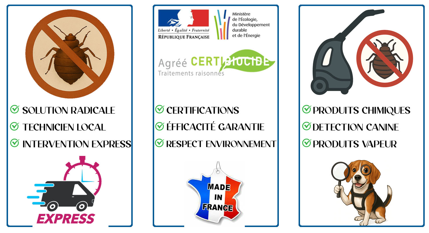 Punaises de Lit Boulogne Billancourt